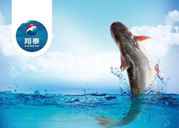 繼金鯧魚、海南鯛之后！翔泰漁業(yè)全力打造第三條精品魚【海南巴沙魚】